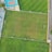 An aerial view of a sports complex featuring multiple green grass fields, including football pitches with marked goalposts. Adjacent to the fields is a blue-roofed building and a smaller area with a tennis or basketball court. Surrounding the complex, there's a road lined with trees and a dirt area with sparse vegetation.
